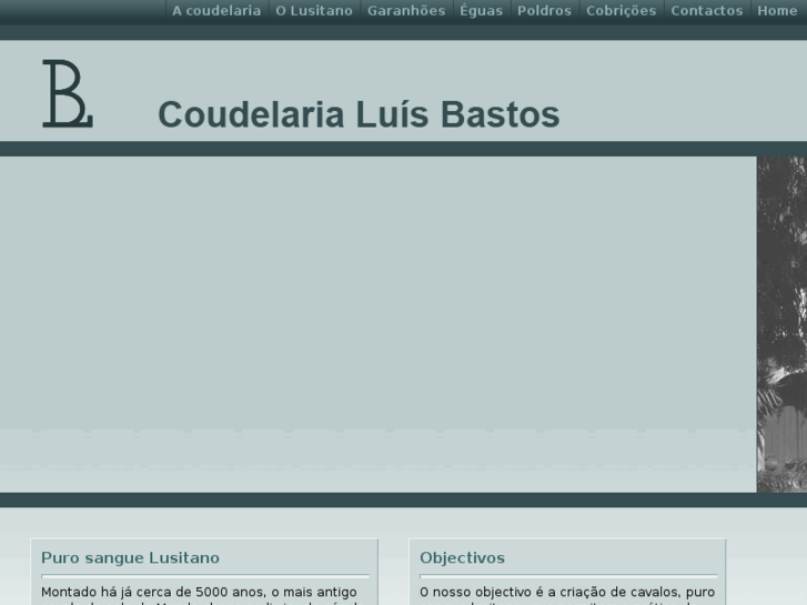 www.coudelarialuisbastos.com