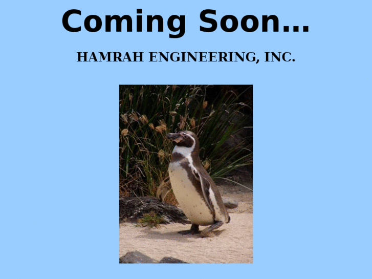 www.hamrah-engineering.com