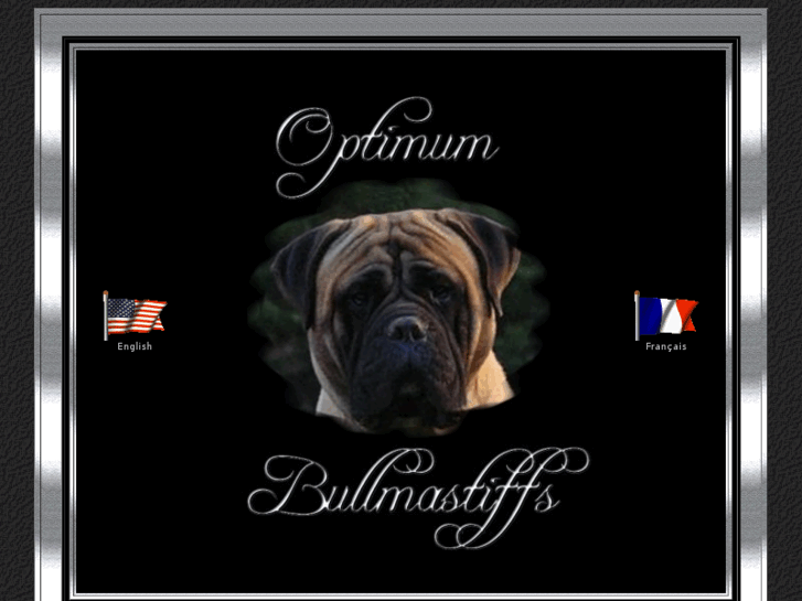 www.optimumbulls.com