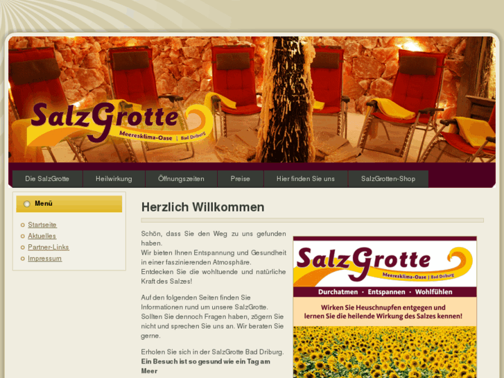 www.salzgrotte-bad-driburg.de