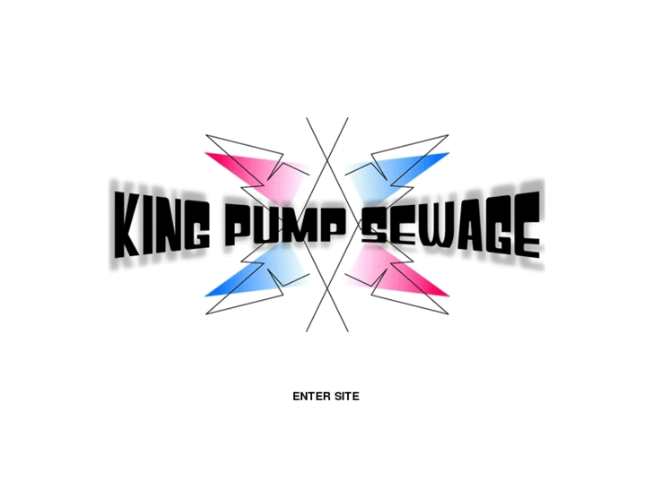 www.kingpumpsewage.com