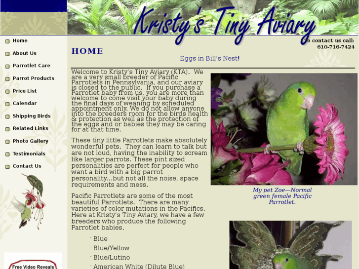 www.kristystinyaviary.com