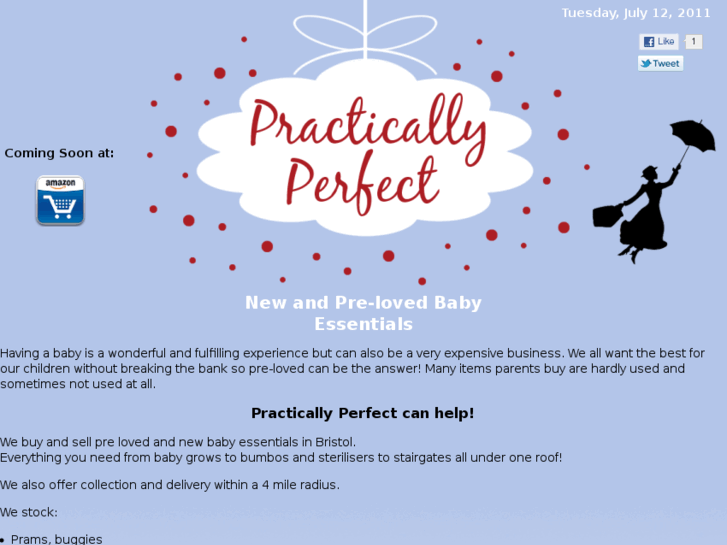 www.practically-perfect.com