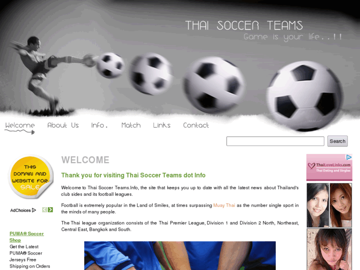 www.thaisoccerteams.info