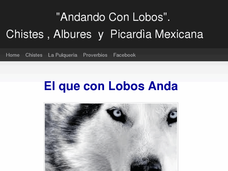 www.andandoconlobos.com