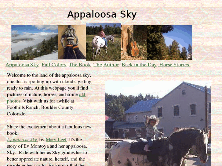 www.appaloosasky.com