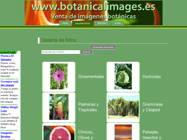 www.botanicalimages.es