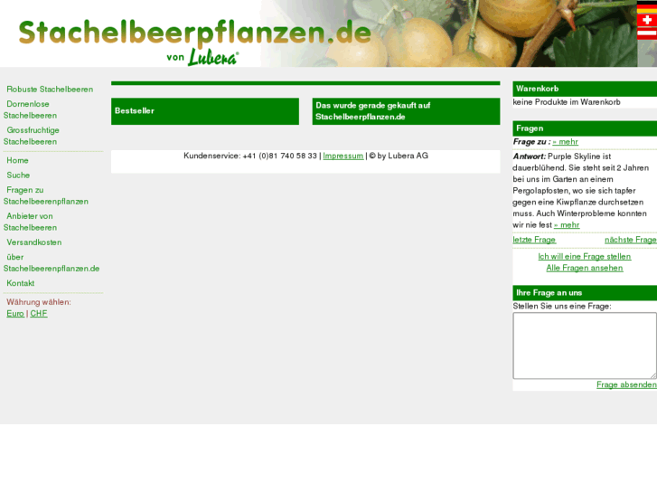 www.stachelbeerpflanzen.de