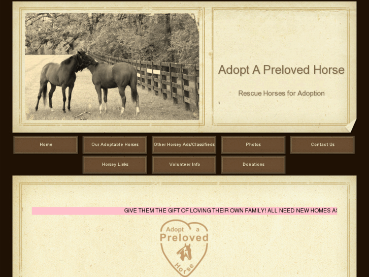 www.adoptaprelovedhorse.com