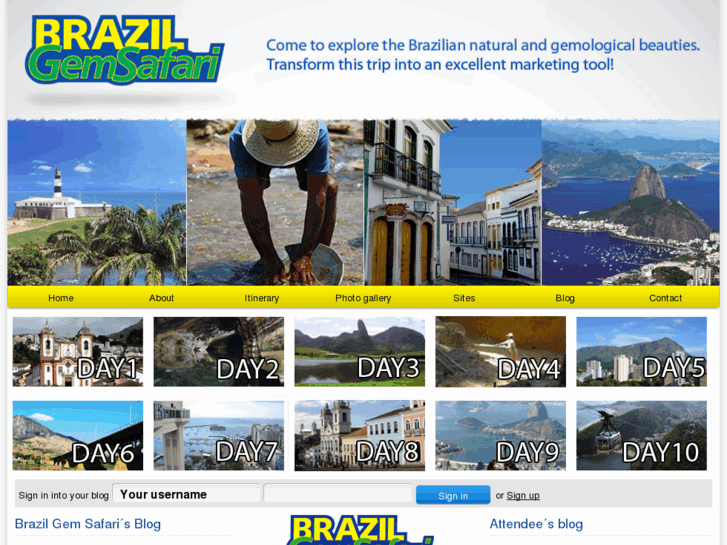 www.brazilgemsafari.com