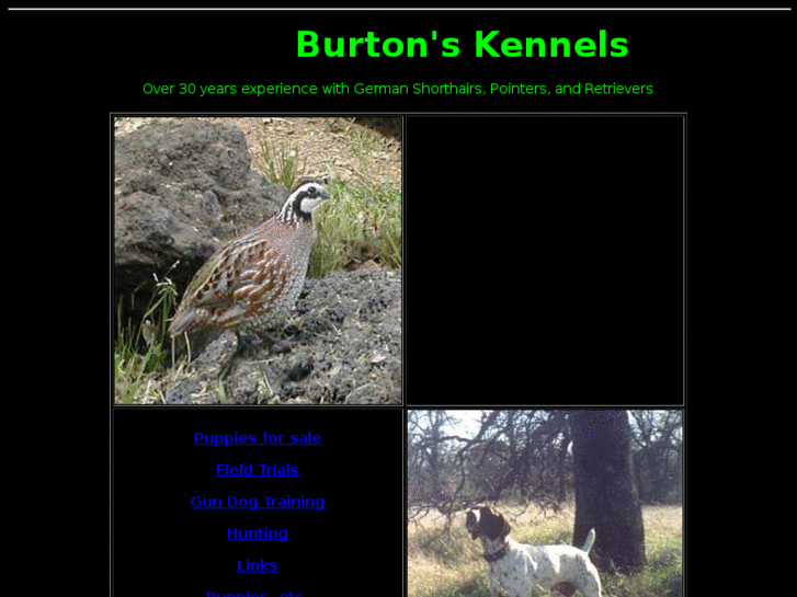 www.burtonskennel.com