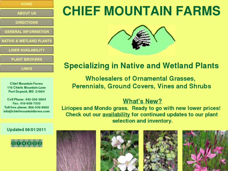 www.chiefmountainfarms.com