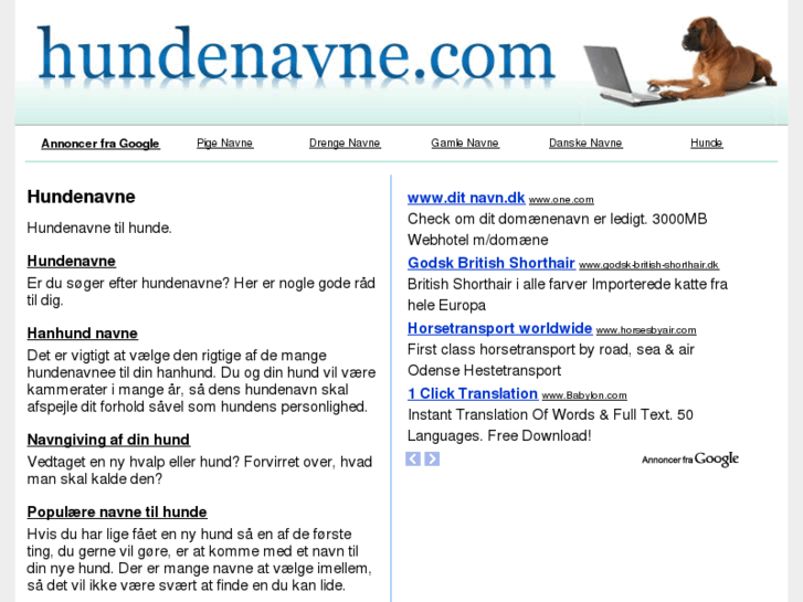 www.hundenavne.com