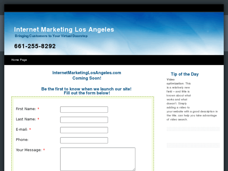 www.internetmarketinglosangeles.com