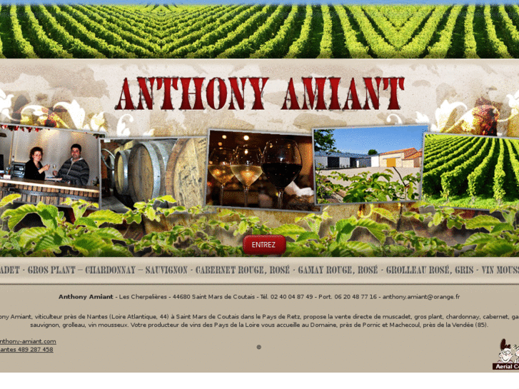 www.anthony-amiant.com