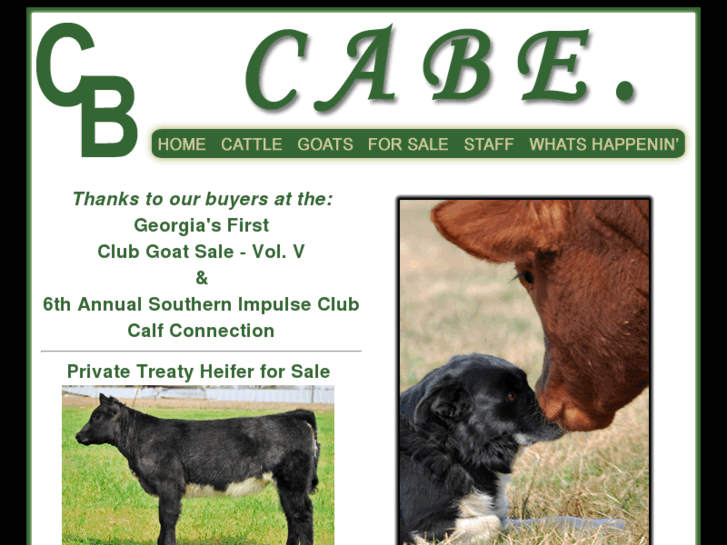 www.cabeperiod.com