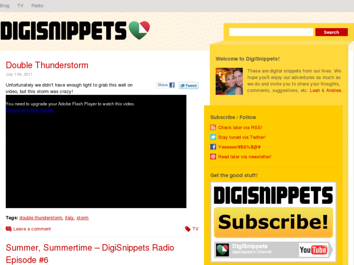 www.digisnippets.com