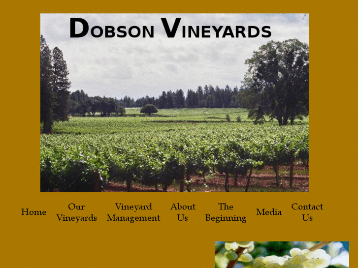 www.dobsonvineyards.com