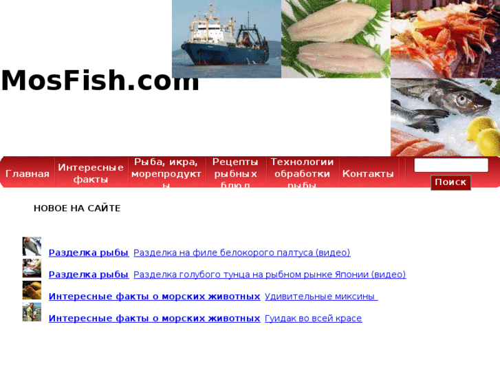 www.mosfish.com