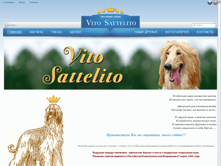 www.vito-sattelito.com