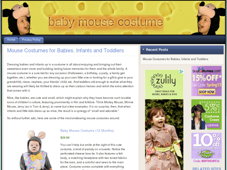 www.babymousecostume.net