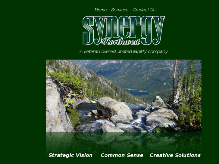 www.synergynorthwest.com