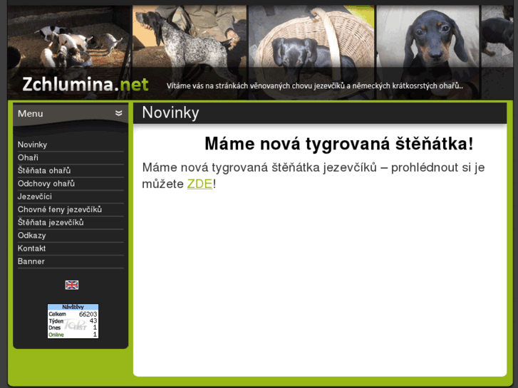 www.zchlumina.net