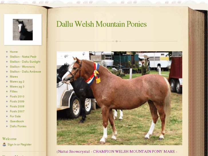 www.dalluwelshstud.com