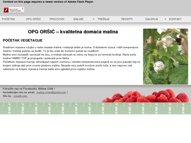 www.malina-orsic.com