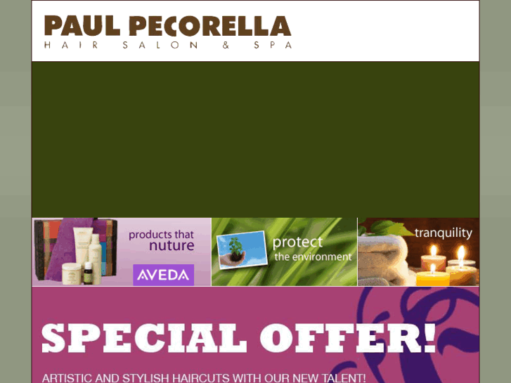 www.paulpecorella.com