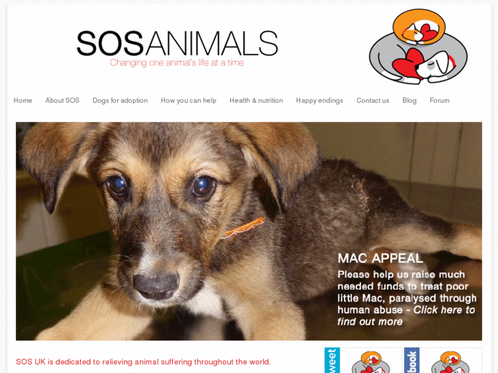 www.sos-animals.org.uk