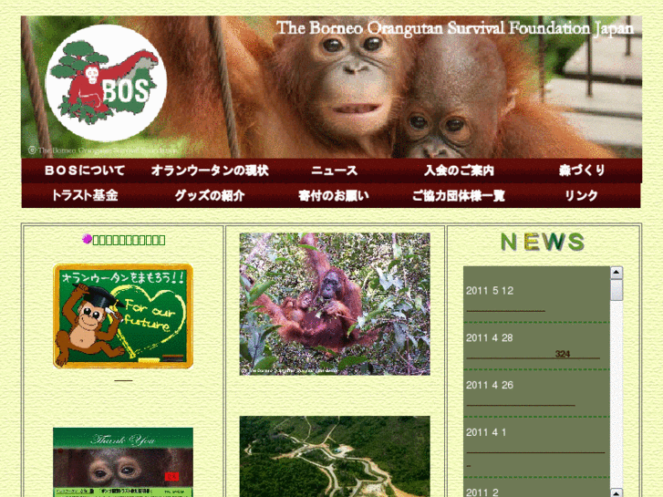 www.bos-japan.jp