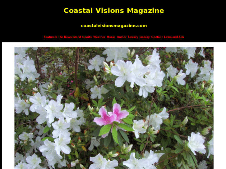 www.coastalvisionsmagazine.com