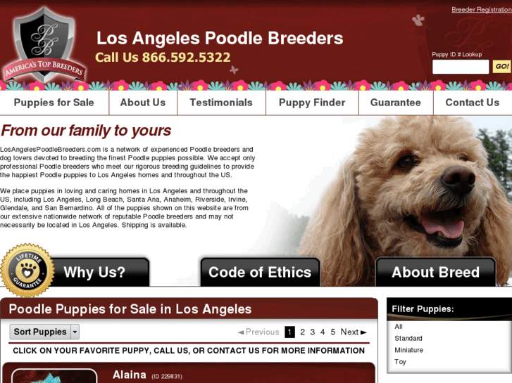 www.losangelespoodlebreeders.com