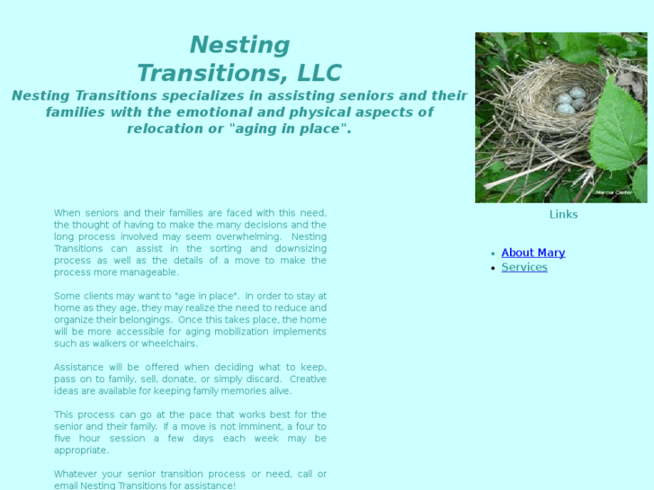 www.nestingtransitions.com