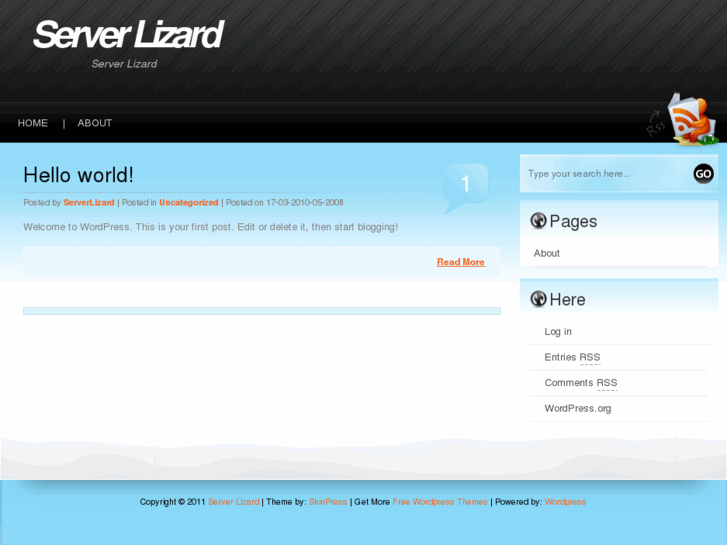www.serverlizard.com