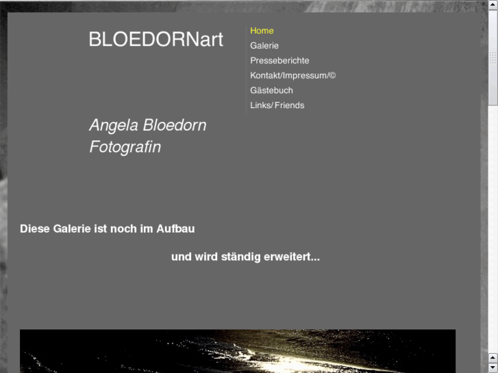 www.bloedornart.com