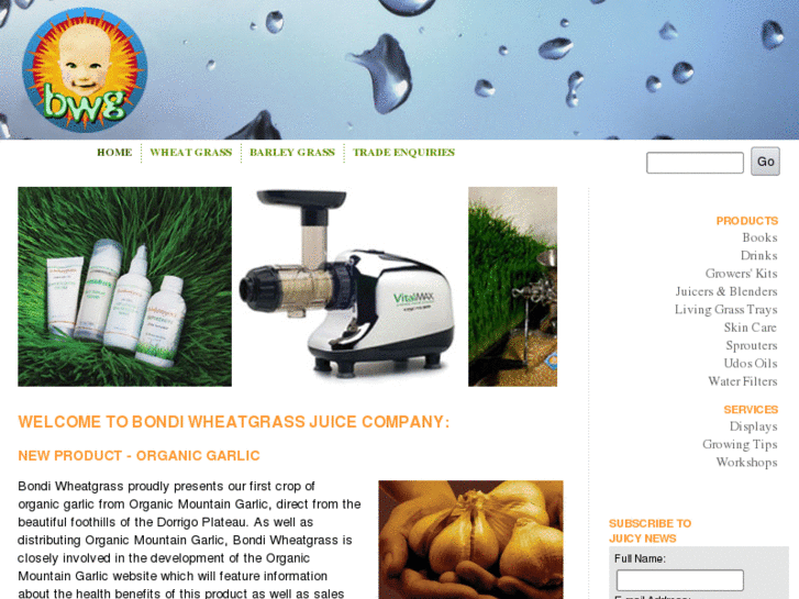 www.bondiwheatgrass.com.au