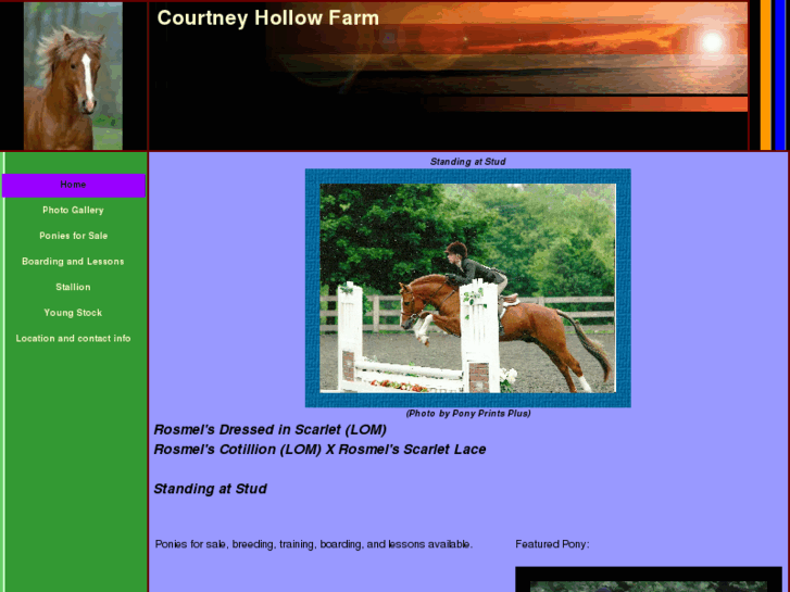 www.courtneyhollowfarm.com