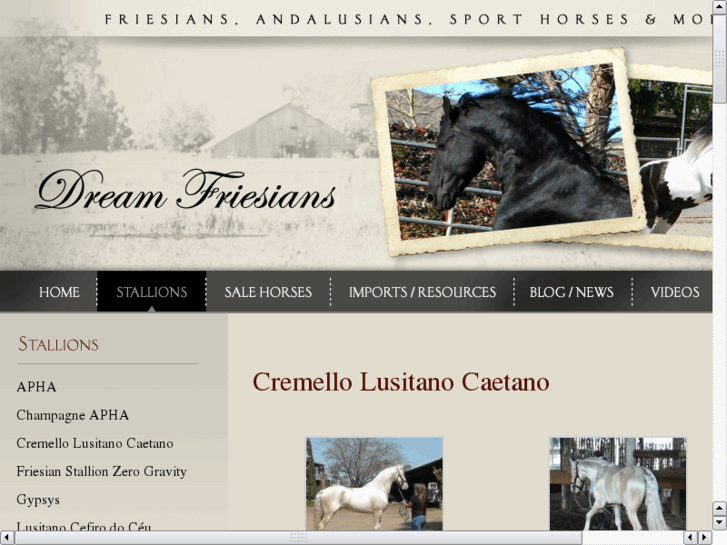 www.cremellolusitano.com