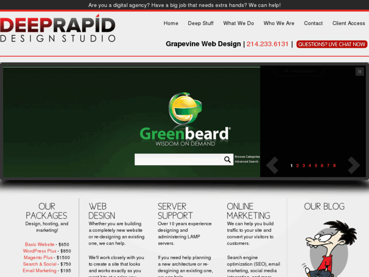 www.grapevine-web-design.com