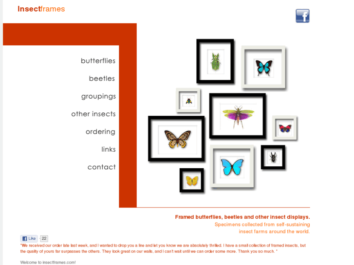 www.insectframes.com