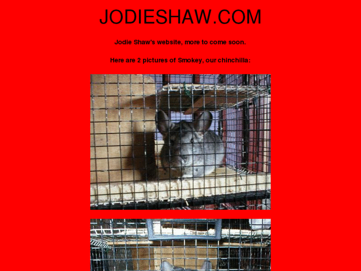 www.jodieshaw.com