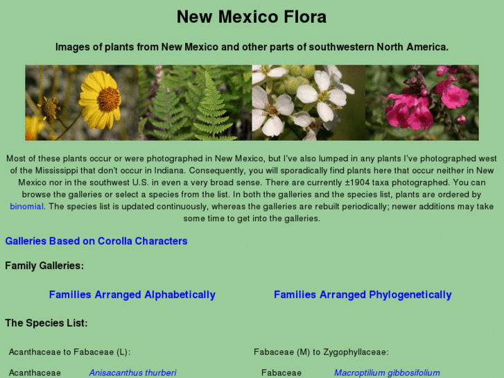 www.newmexicoflora.com