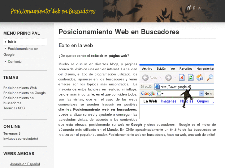 www.posicionamientowebenbuscadores.com