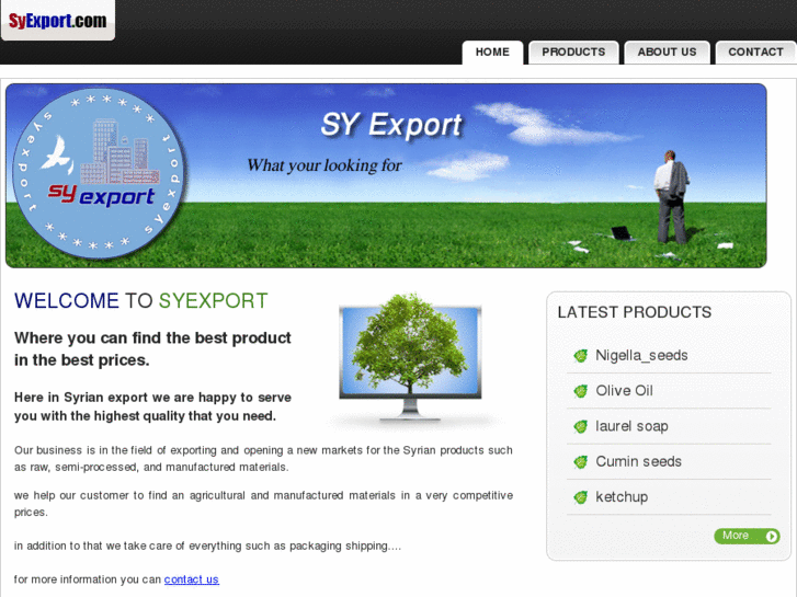 www.syexport.com