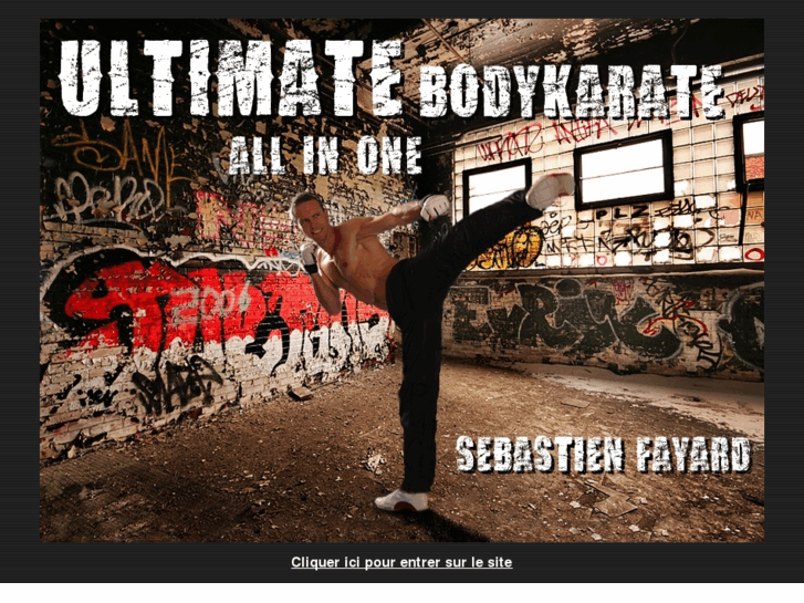 www.ultimate-bodykarate.com