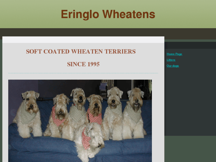 www.eringlo.com