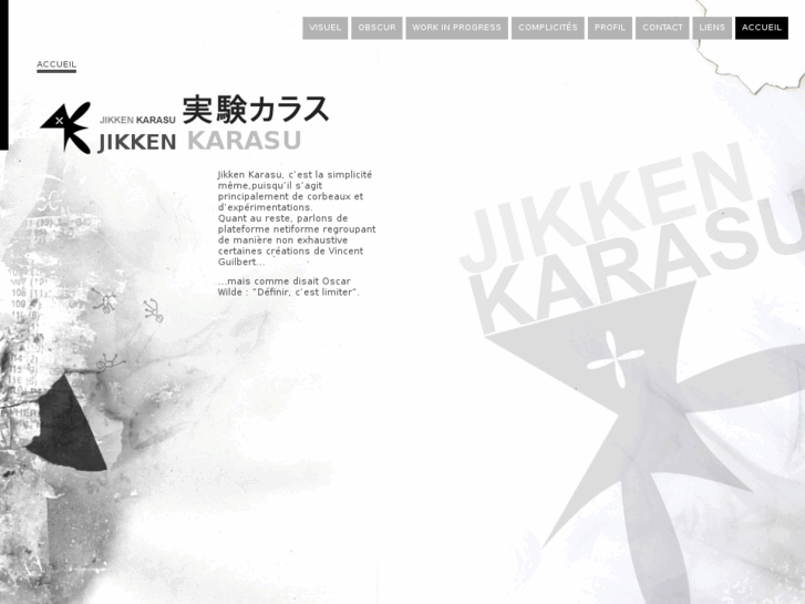 www.jikken-karasu.com