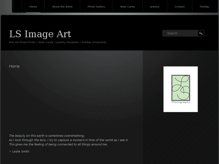 www.lsimageart.com